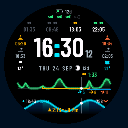 Tide 4a Fish watch face