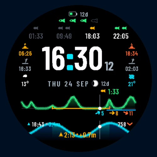 Tide 4a Fish watch face